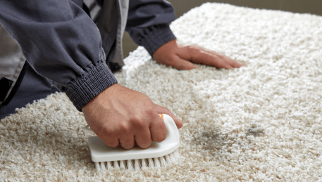 Professional Rug Cleaning Mannerim